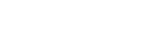 SKYY Vodka